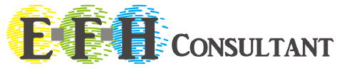 EFH CONSULTANT
